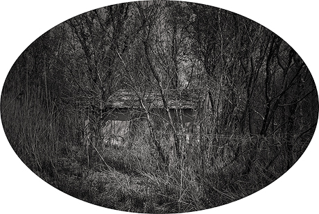 Blind Spot Series - Overgrown Shed
