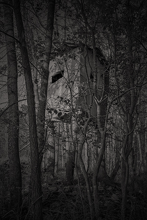 Blind Spot Series - Deer Stand seen through Young Trees
