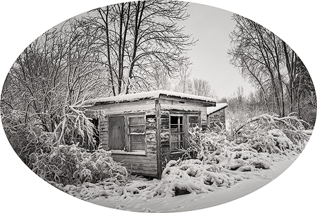 Blind Spot Series - Overgrown cottage under a blanket of snow